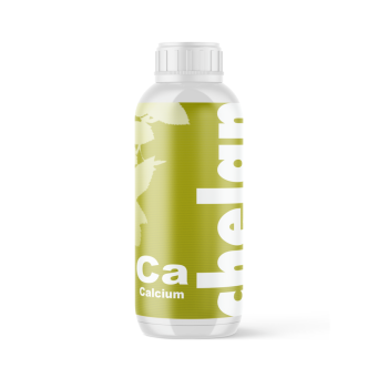 Calcium & Magnesium