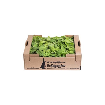 Ready Salads