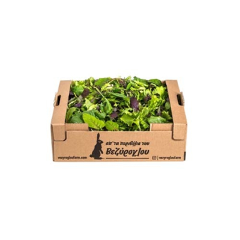 Fresh Vegetables