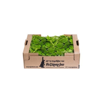 Fresh Vegetables
