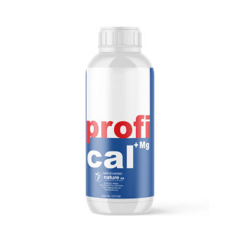 Calcium & Magnesium