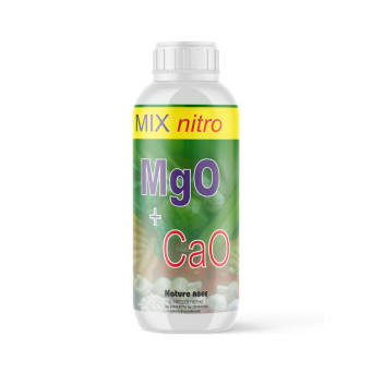Calcium & Magnesium